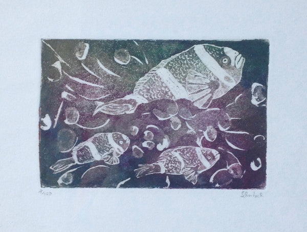 Family of Clownfish