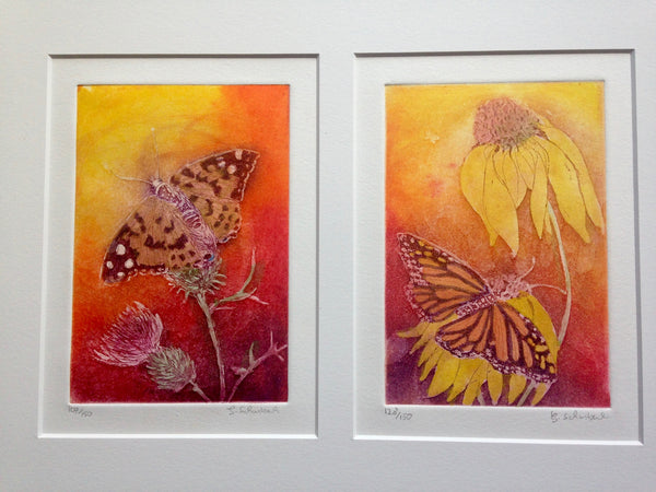 Butterflies