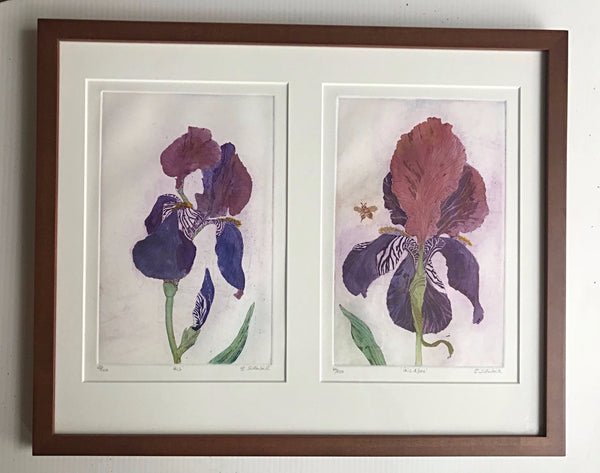 Framed Purple Iris 16x20