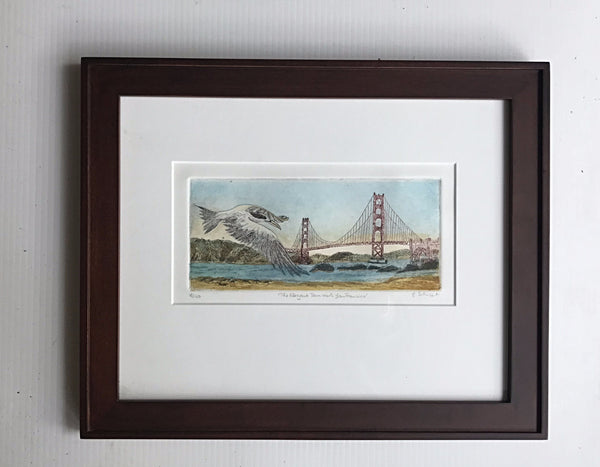 framed 12x16 : The Elegant Tern Visits San Francisco