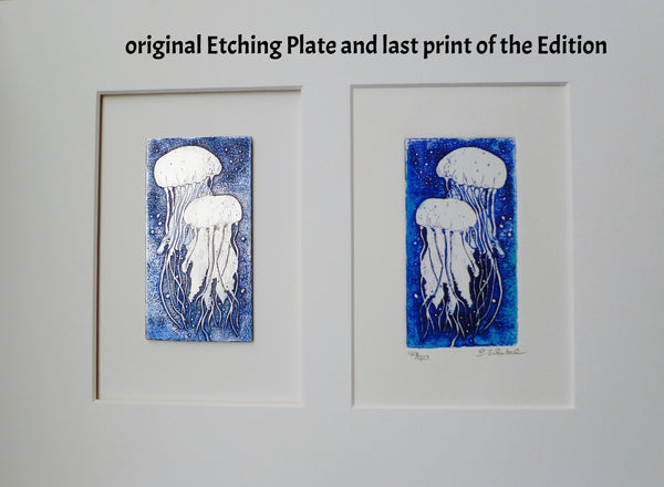 Framed Octopus and other Original Etching Plate
