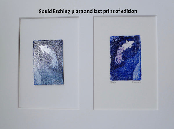 Framed Octopus and other Original Etching Plate