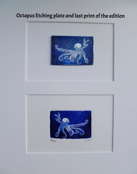 Framed Octopus and other Original Etching Plate