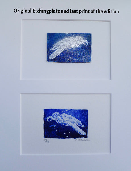Framed Octopus and other Original Etching Plate