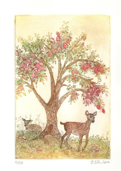 Four Season Trees
