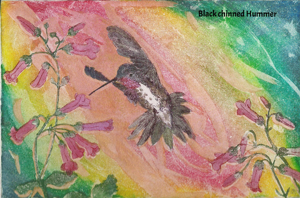 framed 16x20 Hummingbird in flights