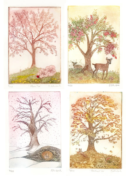Four Season Trees