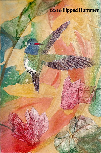 Hummingbird in Flight