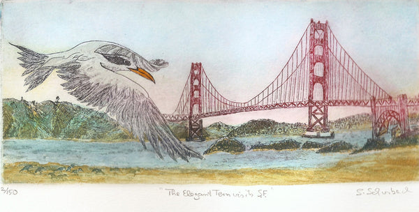 framed 12x16 : The Elegant Tern Visits San Francisco