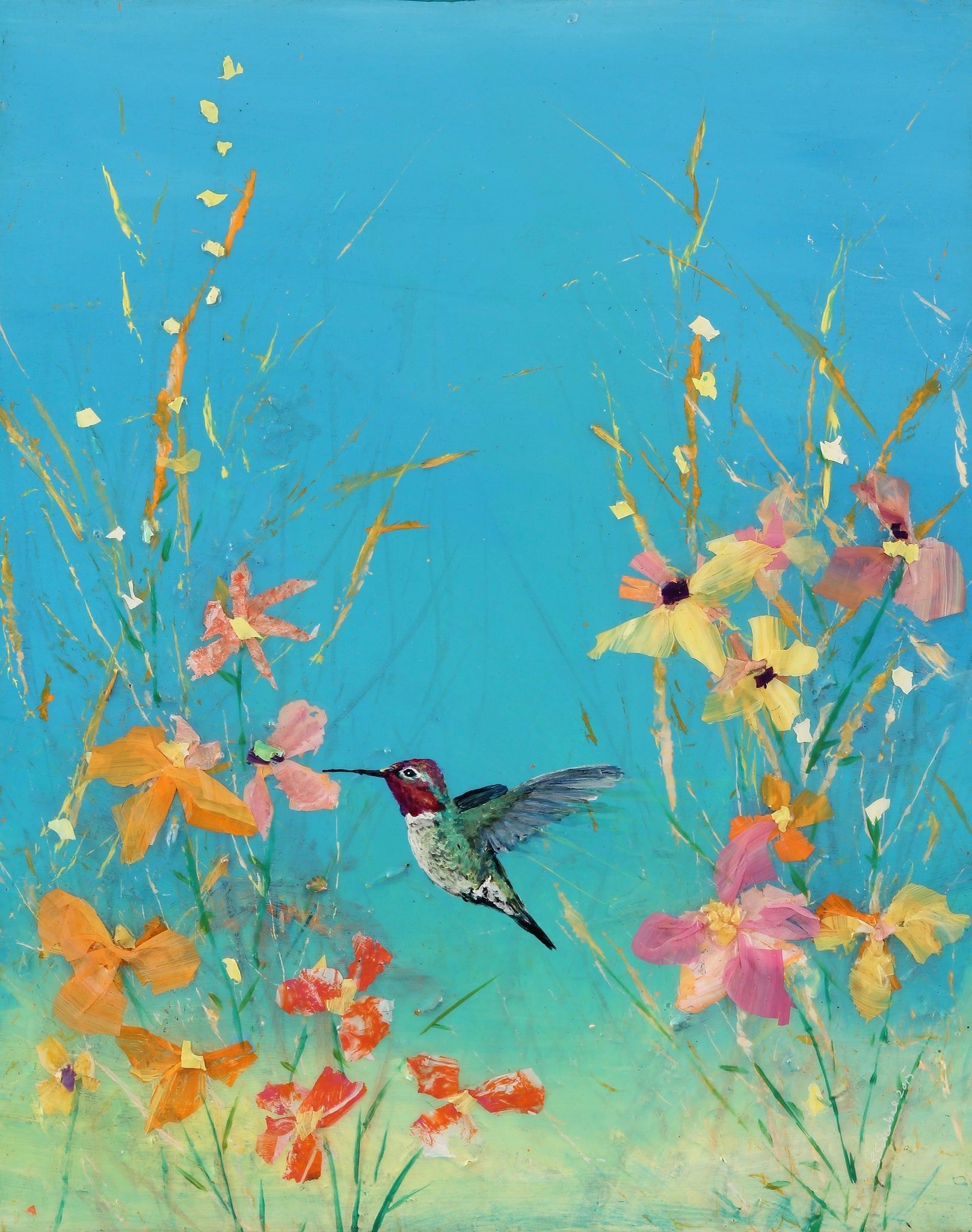 Summer Blue Sky Anna Hummingbird