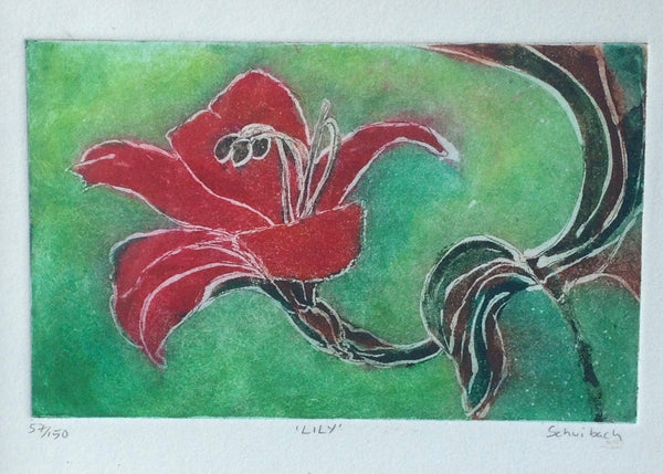 Tiger Lily