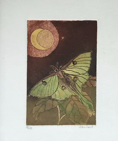 Luna Moth in barnwood frame