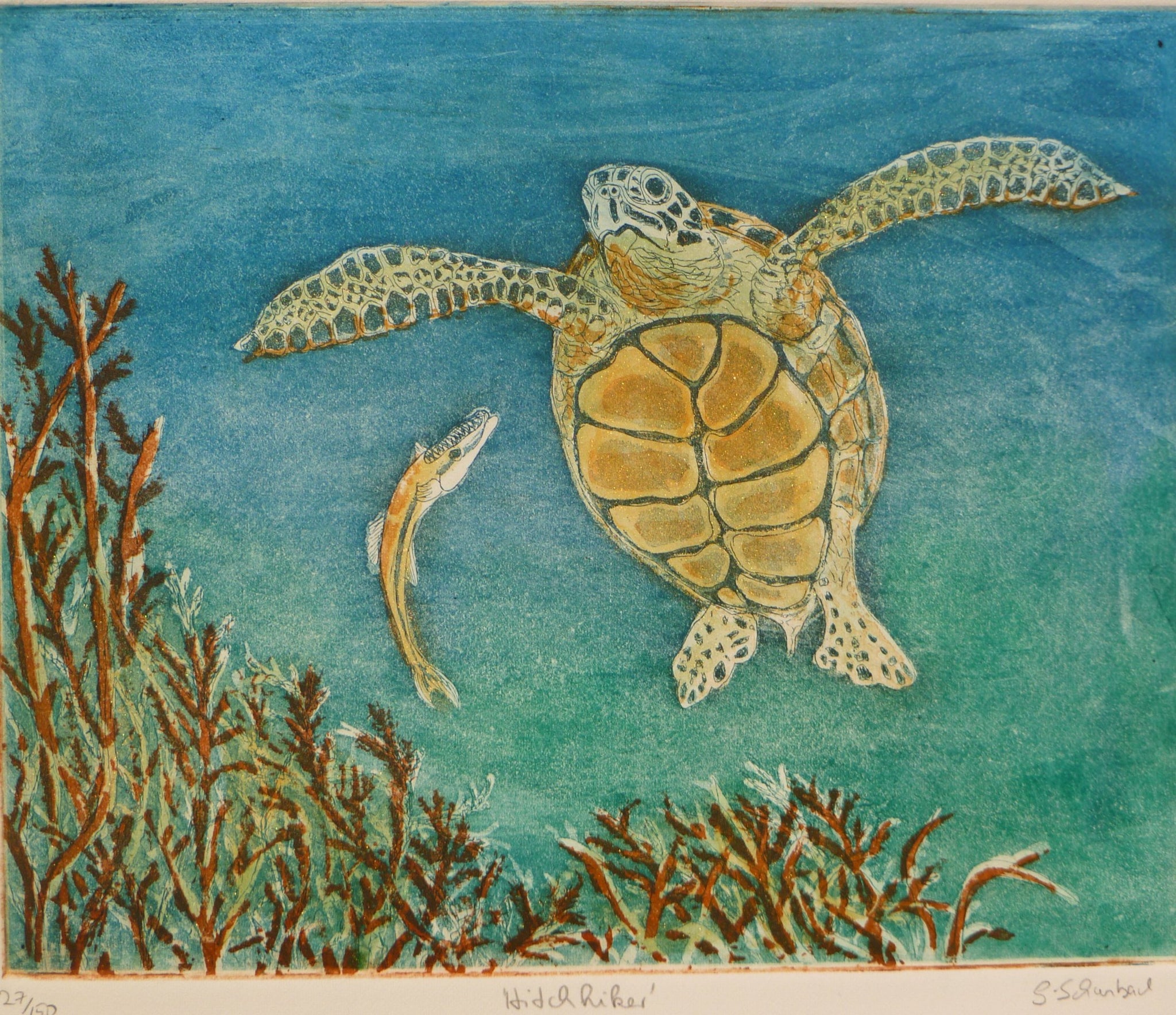 Hitchhiker Turtle Blue Tone (two-plate etching)