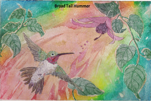 framed 16x20 Hummingbird in flights
