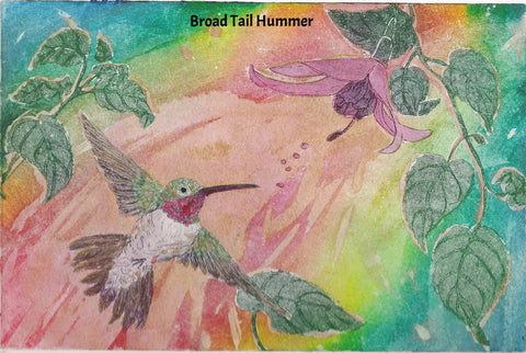 framed 16x20 Hummingbird in flights