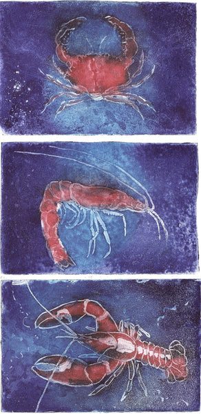 Shrimp - Crab and Lobster