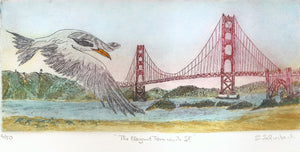 framed 12x16 : The Elegant Tern Visits San Francisco