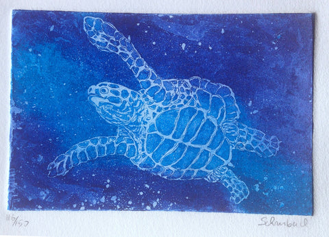 11x14 matted Turtle